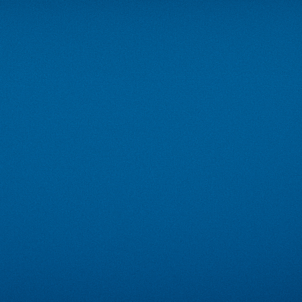 Classic-Blue-Bird